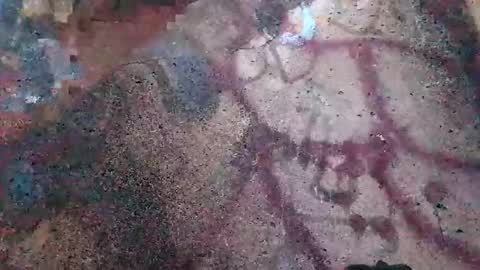 dwadek081704 online show from November 2, 2025, 2:52 pm