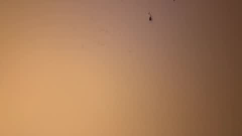 edgingandgooning online show from December 10, 2024, 6:17 pm