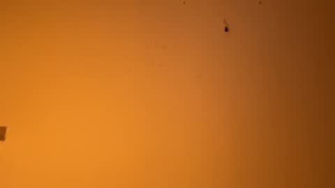 edgingandgooning online show from December 14, 2024, 7:57 pm