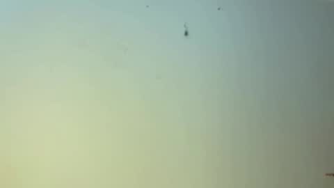 edgingandgooning online show from January 1, 2025, 11:16 am