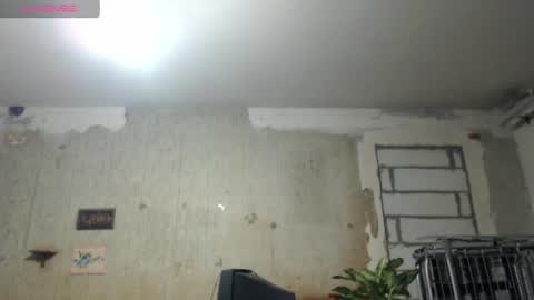 Alexander online show from December 22, 2024, 4:59 pm