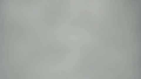 Elis online show from February 25, 2026, 8:35 am