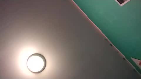 Snapshot of experttreecompany chatting on February 16, 2026, 8:43 am experttreecompany online show from February 16, 2026, 8:43 am