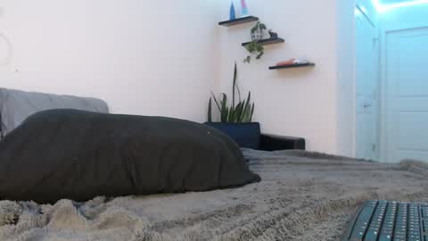 Snapshot of fallonxgray chatting on March 8, 2025, 11:28 pm Fallon Gray online show from March 8, 2025, 11:28 pm