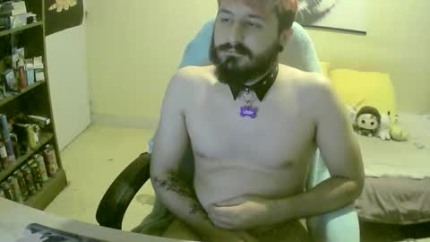 Snapshot of fangtiger chatting on October 13, 2025, 8:42 pm Kevin online show from October 13, 2025, 8:42 pm