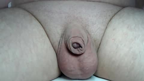 Snapshot of fatmanscock chatting on February 24, 2026, 5:16 am Fatmanscock online show from February 24, 2026, 5:16 am