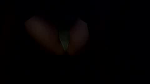 Snapshot of femboywannabe chatting on December 9, 2024, 1:45 pm ElaraJean online show from December 9, 2024, 1:45 pm