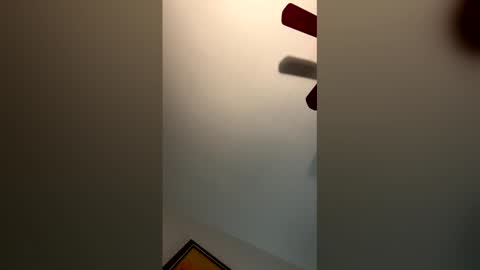 Snapshot of fettybetty777 chatting on March 3, 2026, 3:56 am fettybetty777 online show from March 3, 2026, 3:56 am