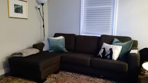 Foxy online show from October 7, 2025, 12:52 am