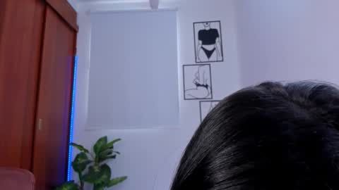    online show from February 10, 2026, 7:51 pm