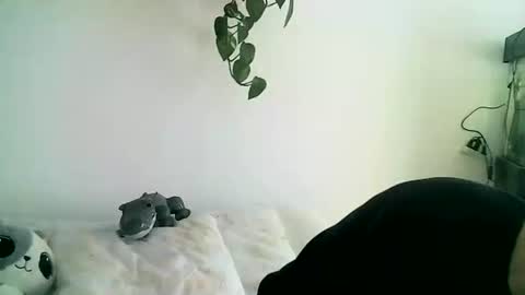 Gael Garca online show from February 11, 2026, 6:02 pm