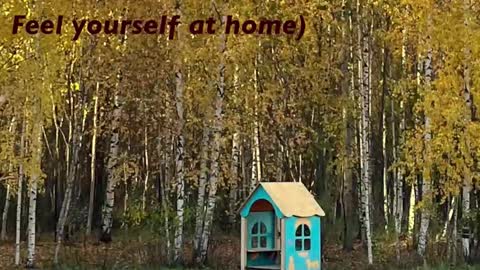 Snapshot of girl_u_never_met chatting on February 22, 2026, 5:33 pm Kristin online show from February 22, 2026, 5:33 pm