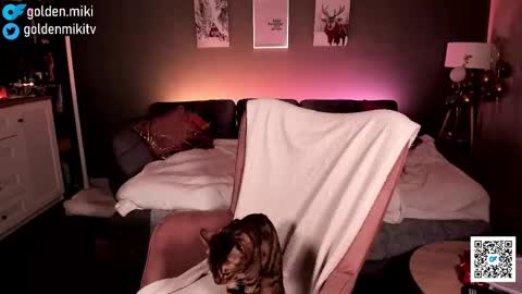 Snapshot of golden_miki chatting on February 2, 2025, 6:15 am Shy in the streets but a freak in the sheets online show from February 2, 2025, 6:15 am