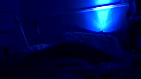 Snapshot of greatest166 chatting on January 30, 2025, 10:50 am mike Stienburg online show from January 30, 2025, 10:50 am