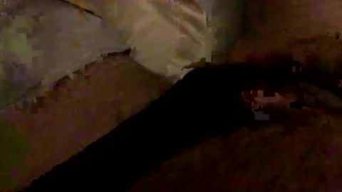 Bruce online show from January 10, 2026, 3:30 am