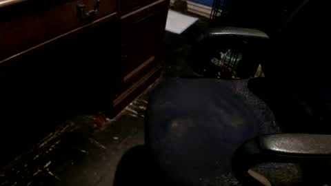 Snapshot of hammerhead973 chatting on December 22, 2025, 8:17 pm hammerhead973 online show from December 22, 2025, 8:17 pm