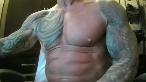 hardbody205a online show from February 19, 2025, 1:40 am