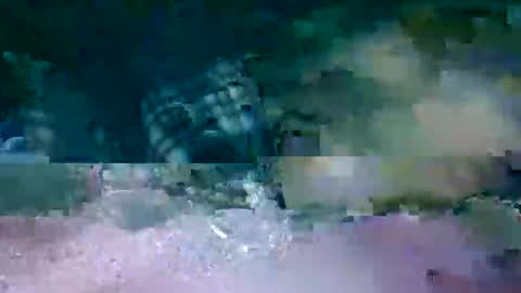 MR. Bation online show from February 17, 2026, 1:13 am