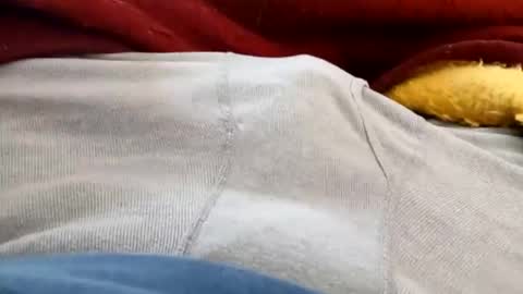 Snapshot of holycannoli123 chatting on February 5, 2026, 3:49 pm holycannoli123 online show from February 5, 2026, 3:49 pm