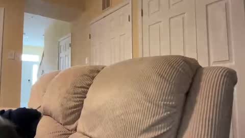 honey_man14 online show from February 17, 2025, 1:53 pm