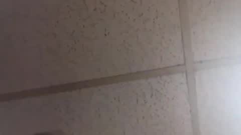 Snapshot of horny4yourtouch chatting on February 20, 2026, 2:06 pm Dominick Subversal online show from February 20, 2026, 2:06 pm