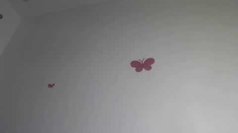 Iris online show from January 15, 2026, 7:28 pm