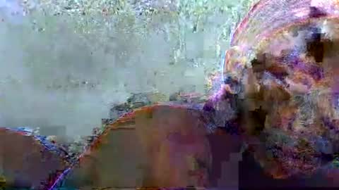 Snapshot of hotagrace chatting on February 14, 2026, 7:16 am hotagrace online show from February 14, 2026, 7:16 am