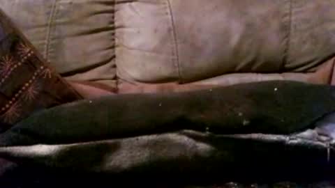 Snapshot of hungc2c420 chatting on March 3, 2026, 5:41 pm hung420boner online show from March 3, 2026, 5:41 pm