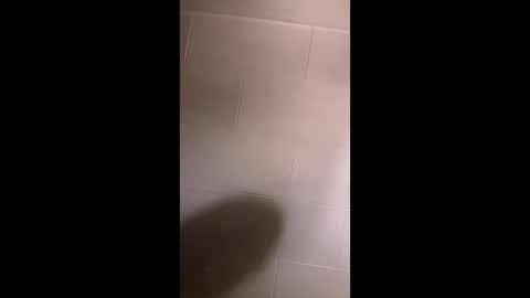 hungitalian40 online show from February 19, 2026, 11:23 pm