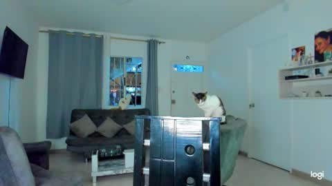 Snapshot of iam_your_fantasy chatting on December 4, 2025, 12:09 am iam_your_fantasy online show from December 4, 2025, 12:09 am