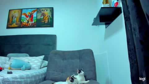 Snapshot of iam_your_fantasy chatting on February 1, 2026, 9:13 pm iam_your_fantasy online show from February 1, 2026, 9:13 pm