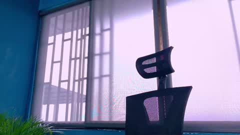 Tavo online show from February 24, 2026, 12:14 pm