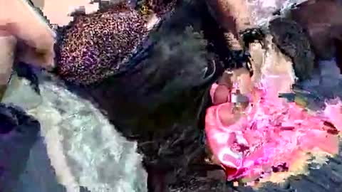 Snapshot of imabigolperv chatting on March 2, 2026, 2:03 am imabigolperv online show from March 2, 2026, 2:03 am