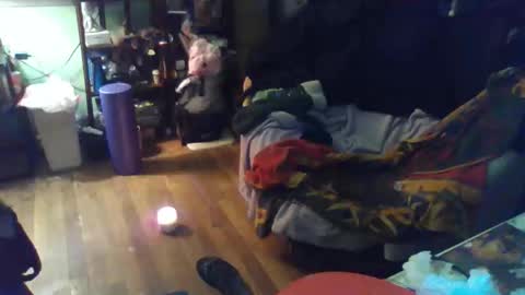 indigo_scorpio online show from February 11, 2026, 12:04 am