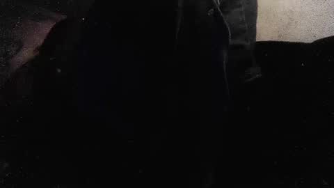 Snapshot of jjohnathan529 chatting on January 26, 2025, 3:58 pm jjohnathan529 online show from January 26, 2025, 3:58 pm