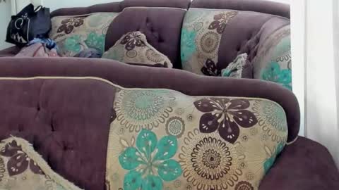 JOAN SAENZ online show from January 17, 2026, 6:44 pm