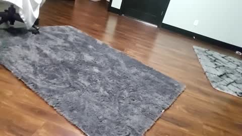 Snapshot of justaskforbiga chatting on January 15, 2026, 6:07 am Tohiptwoquit online show from January 15, 2026, 6:07 am