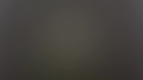 Snapshot of kailaxxxkandy chatting on October 30, 2025, 8:49 am Anime Goth Kaila Kitty Kandy online show from October 30, 2025, 8:49 am