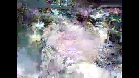 Snapshot of ki389253 chatting on March 4, 2026, 2:17 am ki389253 online show from March 4, 2026, 2:17 am