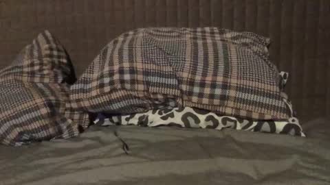 Snapshot of kiki3526 chatting on November 23, 2025, 7:35 pm kiki3526 online show from November 23, 2025, 7:35 pm