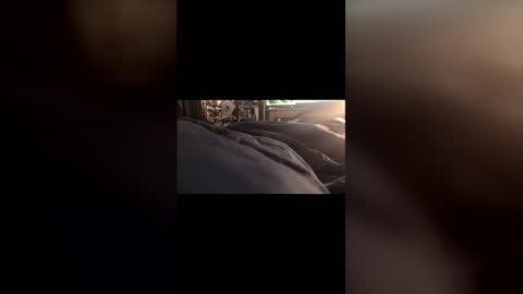 Leon online show from March 1, 2026, 7:05 pm