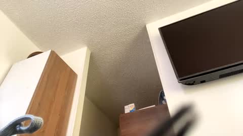 lety hot online show from December 4, 2024, 3:54 pm