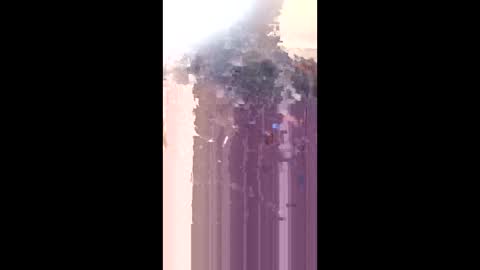 levis501bandant online show from January 17, 2026, 2:27 am