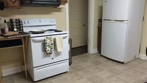 lilly_adams88 online show from February 20, 2026, 2:52 am