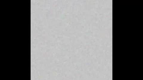 Snapshot of lindseysinclair chatting on February 9, 2026, 10:19 am Lindsey online show from February 9, 2026, 10:19 am