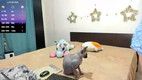 Kat online show from February 21, 2026, 11:17 pm