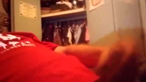 longdongsilverj online show from January 8, 2025, 11:10 am