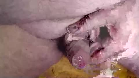 Snapshot of lover_troll chatting on February 16, 2026, 10:44 am lover_troll online show from February 16, 2026, 10:44 am