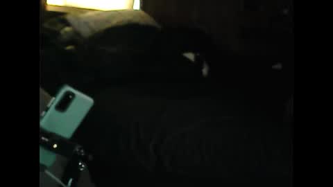 Snapshot of luckyblondecouple chatting on December 9, 2024, 2:28 pm LuckyBlondeCouple online show from December 9, 2024, 2:28 pm