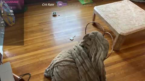 Snapshot of lucydreamsbaby chatting on February 12, 2025, 6:19 pm lucydreamsbaby online show from February 12, 2025, 6:19 pm